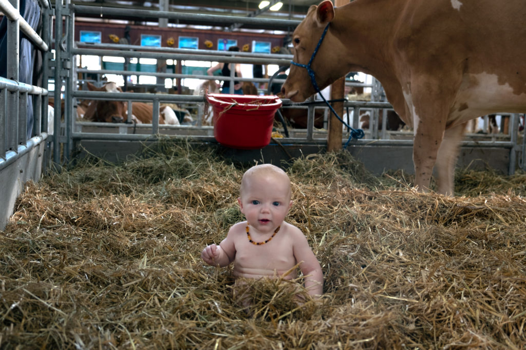 baby in the hay